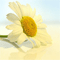 Blessings For You!
