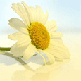 Blessings For You!