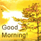 Wishing You Good Morning!