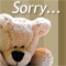 Sorry For The Wrong Words!