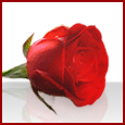 A Warm Thank You!