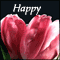 Wishing Happiness And Joy...