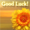 Happiness, Success And Good Luck!