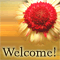 A 'You Are Welcome' Card!