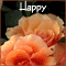 Wedding Anniversary Wishes...