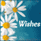 I Wish You Both...