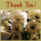 Thanks For Your Support!