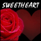 Red Rose For Your Sweetheart!