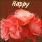 Warm Anniversary Wishes...