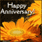 Wedding Anniversary!