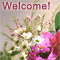 You Are Most Welcome!