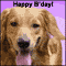 Here I Am To Wish You...