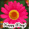 Day To Celebrate Yourself.