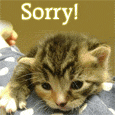 A Heartfelt Apology!