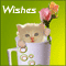 Message For Anniversary...