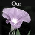 Formal Condolence Card.