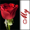 Just For You My Love!