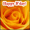 Some Special Birthday Wishes!