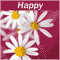 May You Both Bloom Like A Flower...