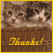 Thanks For Being There!