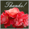 Thanks, Keep In Touch!