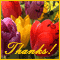 Thanks A Lot For Everything!