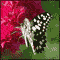 To My Dear Friend!