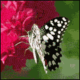 To My Dear Friend!