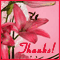 A Heartfelt Thank You!