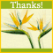 To Say Thanks!