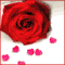 You Are The Best Thing In My Life!