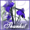 To Say Thank You...