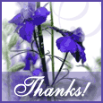 To Say Thank You...