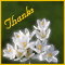Thanks A Lot!