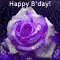 Your Special Day!