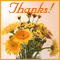 Thank You So Much!