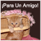 Día De La Amistad