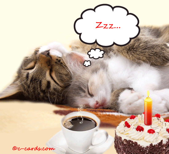 Catnapping.