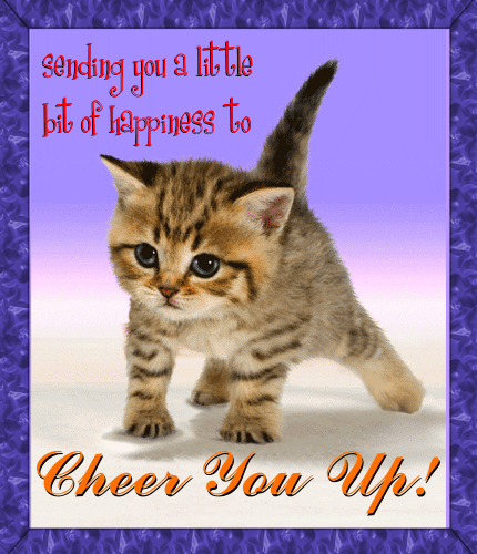 A Cute Kitty To Cheer You Up.