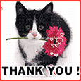 Just A Note To Say Thank You.
