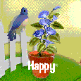 Special Floral Birthday!