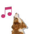 Dogs Are Singing For Your Birthday!