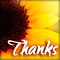 Thanks A Million!