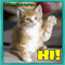 It%92s Just Me Saying Hi!