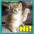It’s Just Me Saying Hi!