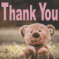 Teddy Thank You.