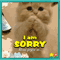A Sorry Ecard To Someone.