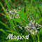 Magical Fairy Birthday Wishes!