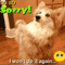 My Sorry...
