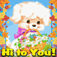 Hi To You!